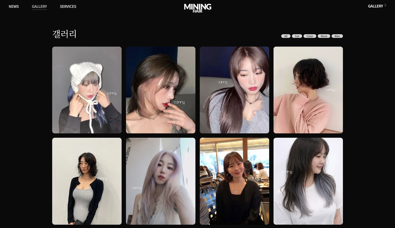 เว็บไซต์ Mining Hair: ตารางแกลเลอรีและเมนูหมวดหมู่